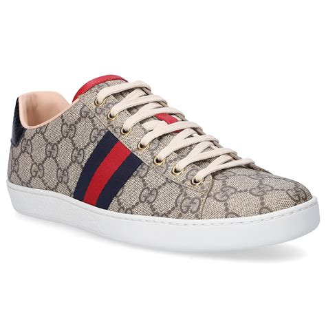 gucci low top sneakers price